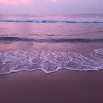 Sea Gull (Junior suite )